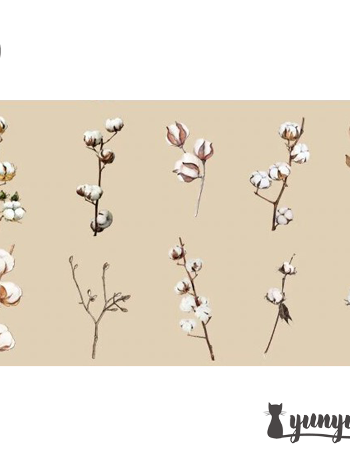 Stickers Botánica XL - 11 pzas 10