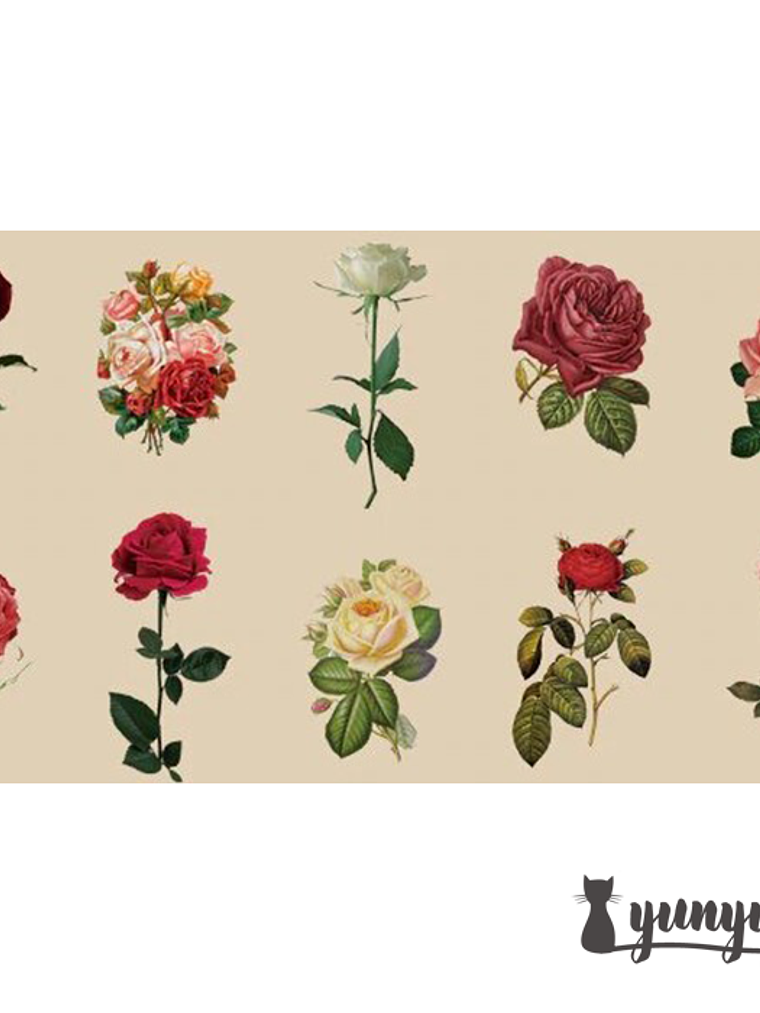 Stickers Botánica XL - 11 pzas 12