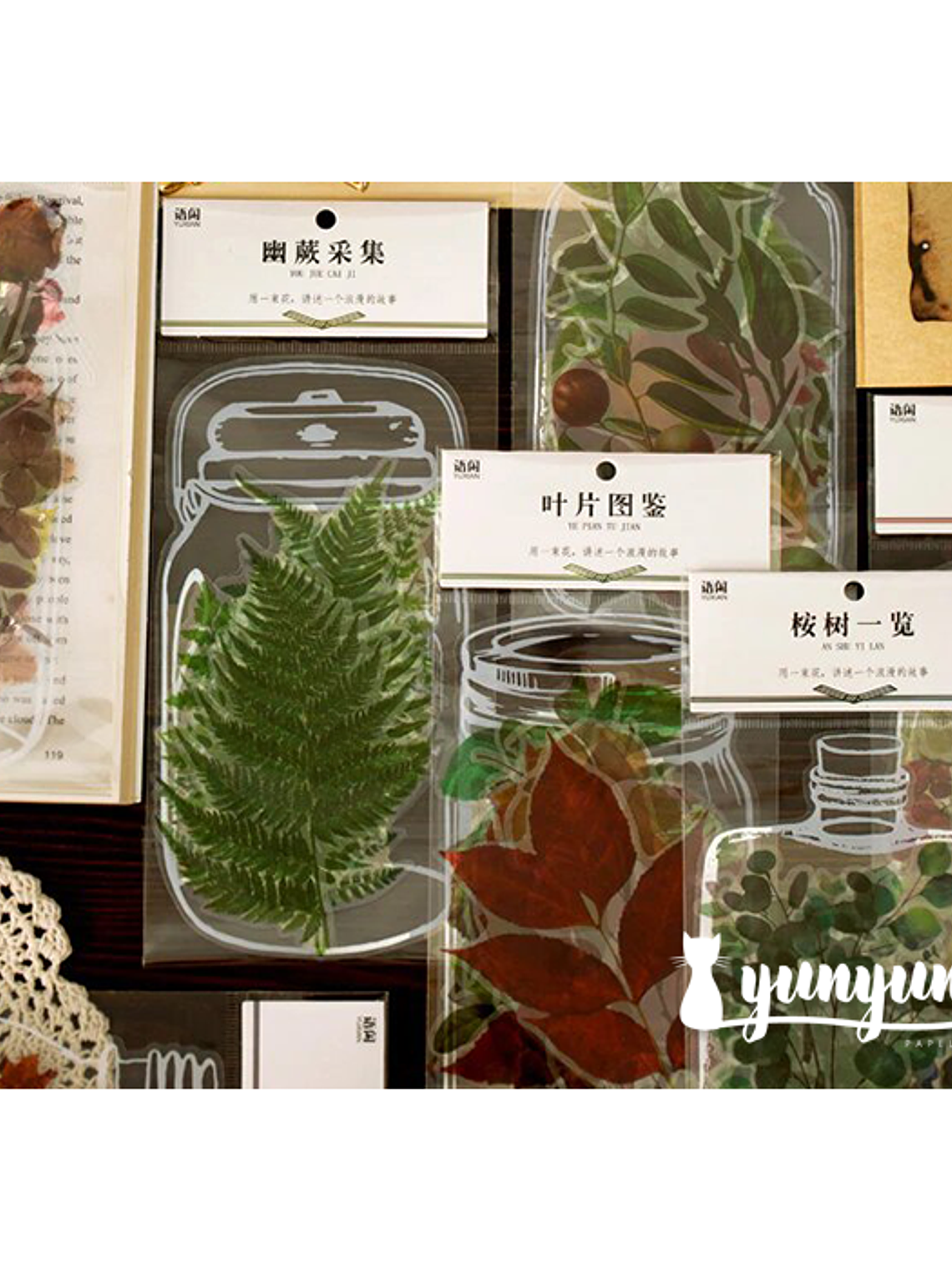 Set Stickers Botánica XL II - 11 pzas 3