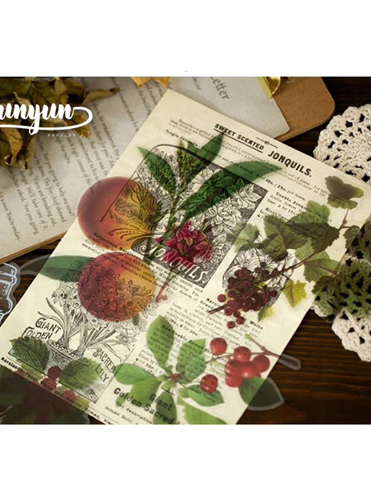 Set Stickers Botánica XL II - 11 pzas 4