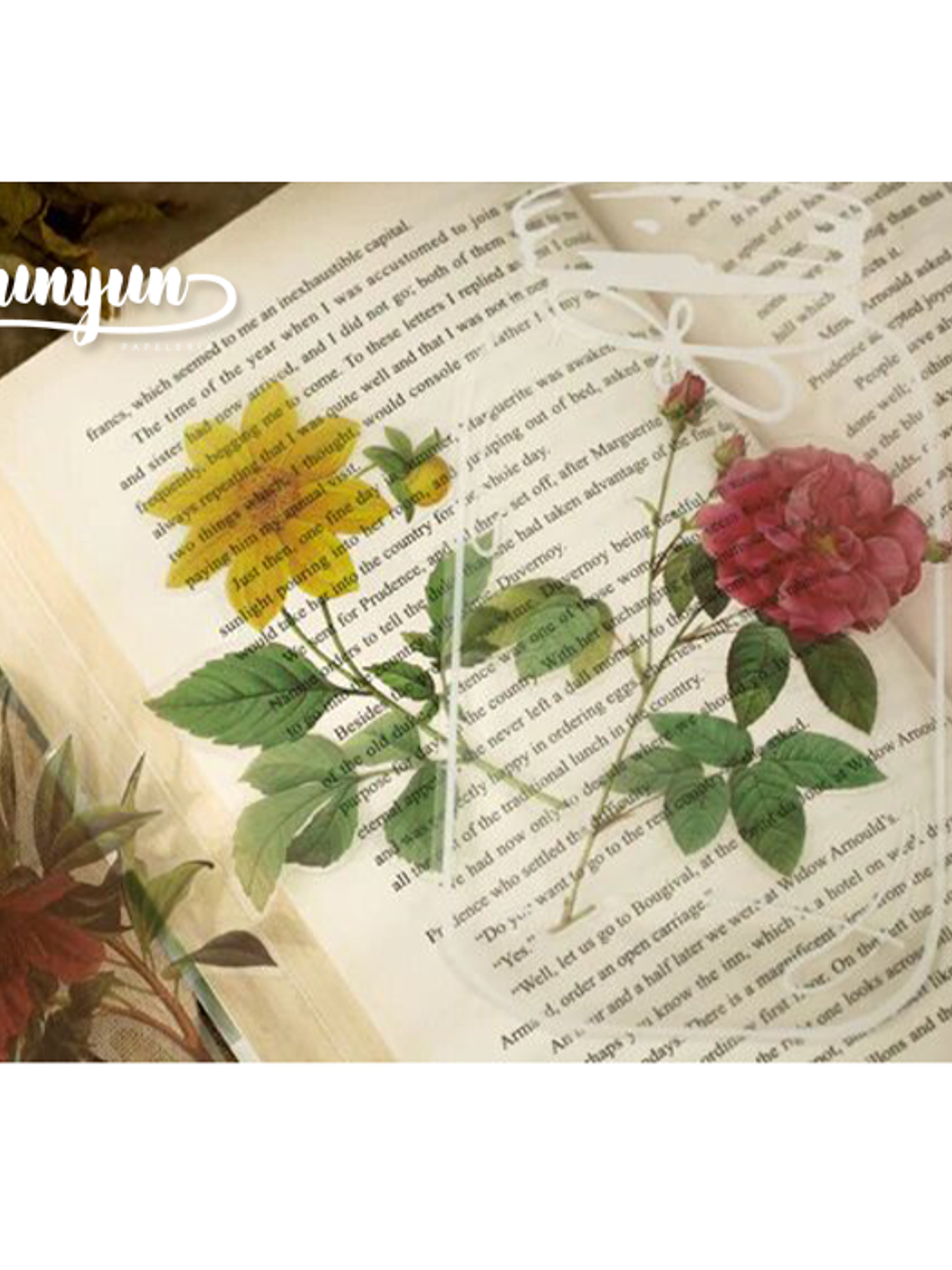 Set Stickers Botánica XL II - 11 pzas 6