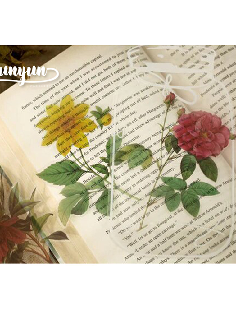 Set Stickers Botánica XL II - 11 pzas 6