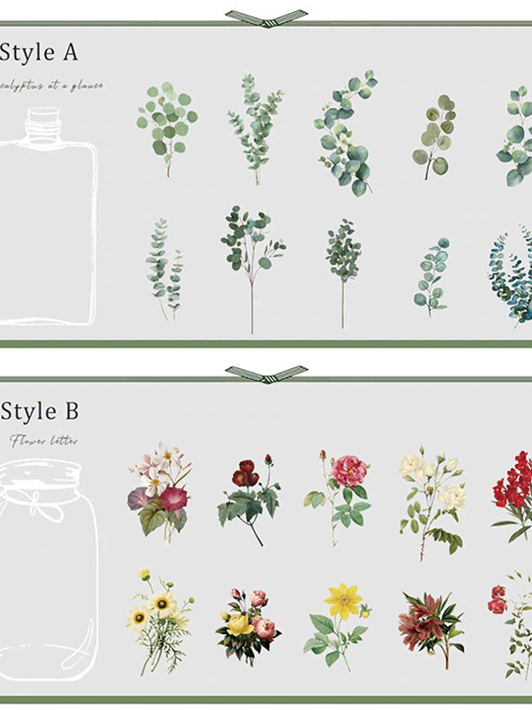 Set Stickers Botánica XL II - 11 pzas 7