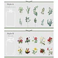 Set Stickers Botánica XL II - 11 pzas - Miniatura 7