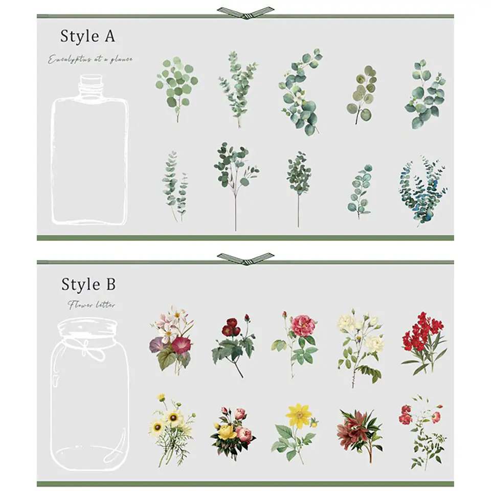 Set Stickers Botánica XL II - 11 pzas 7