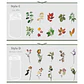 Set Stickers Botánica XL II - 11 pzas - Miniatura 8