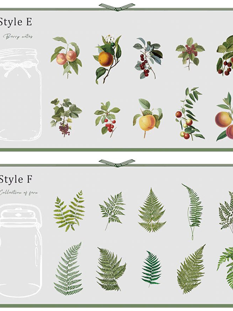 Set Stickers Botánica XL II - 11 pzas 9