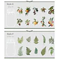 Set Stickers Botánica XL II - 11 pzas - Miniatura 9