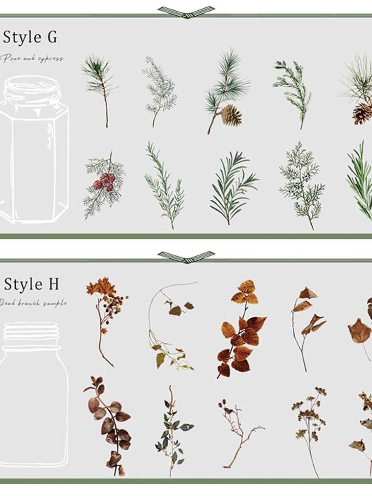 Set Stickers Botánica XL II - 11 pzas 10