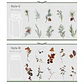 Set Stickers Botánica XL II - 11 pzas - Miniatura 10