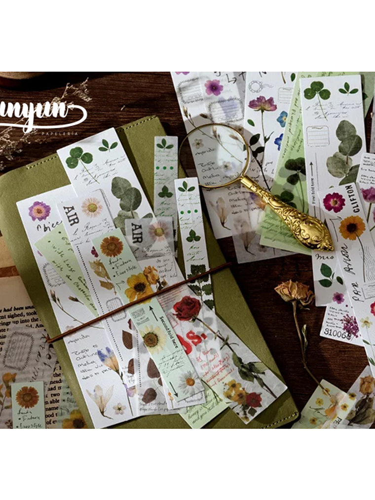 Strip Stickers III - 30 pzas 3