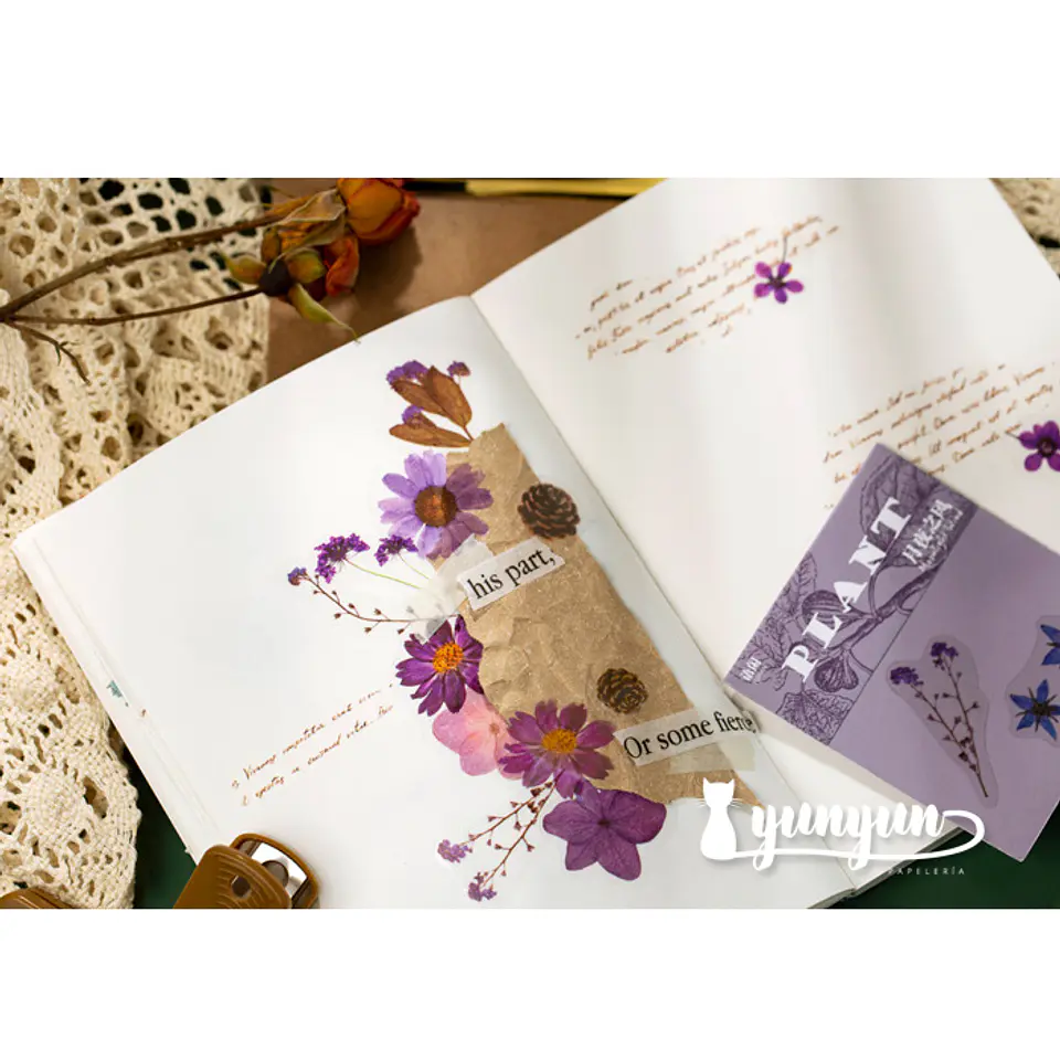 Stickers Mini Bosque - 40 pzas 2