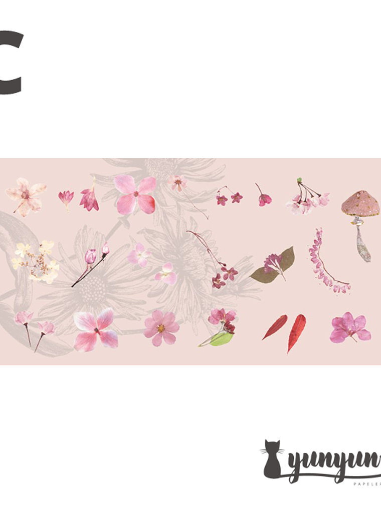 Stickers Mini Bosque - 40 pzas 5