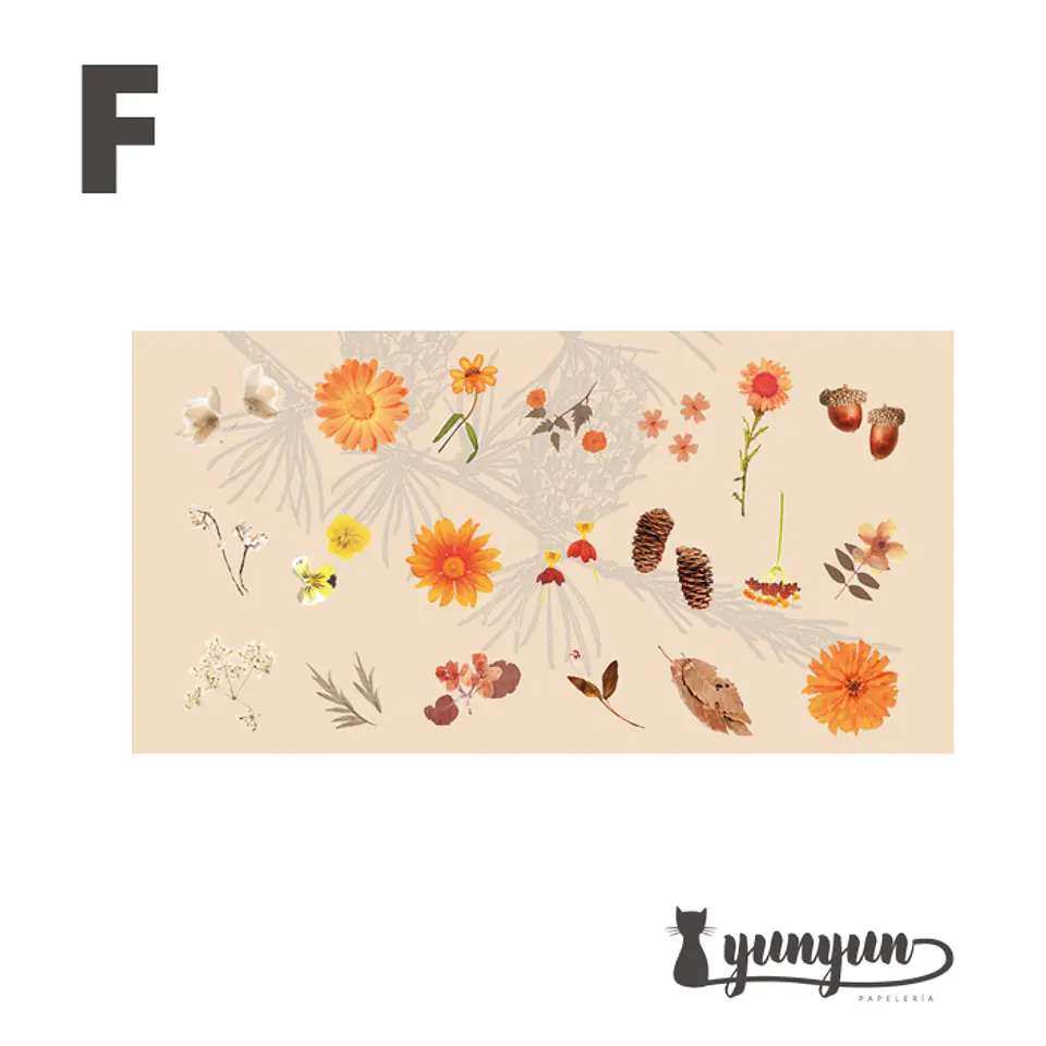 Stickers Mini Bosque - 40 pzas 8