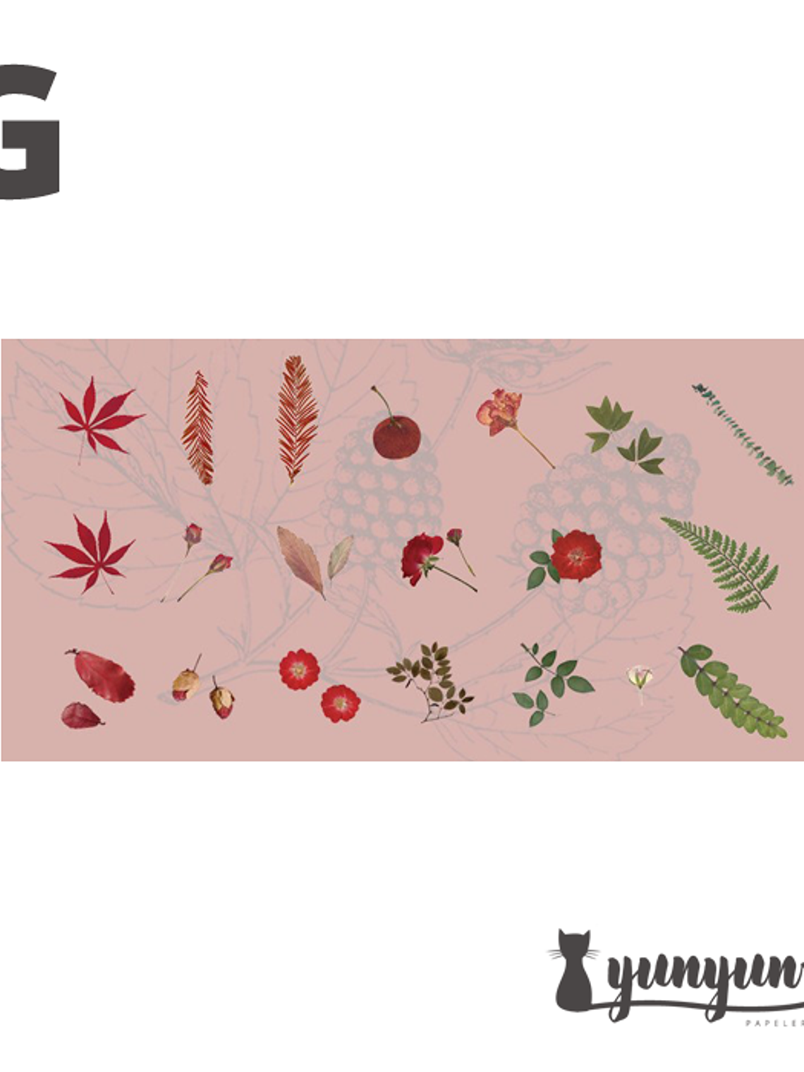 Stickers Mini Bosque - 40 pzas 9