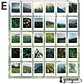 Stickers Paisajes - 30 pzas - Miniatura 11