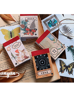 Mini Sticker Book I - 50 pzas