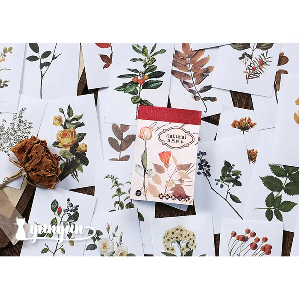 Mini Sticker Book I - 50 pzas 4