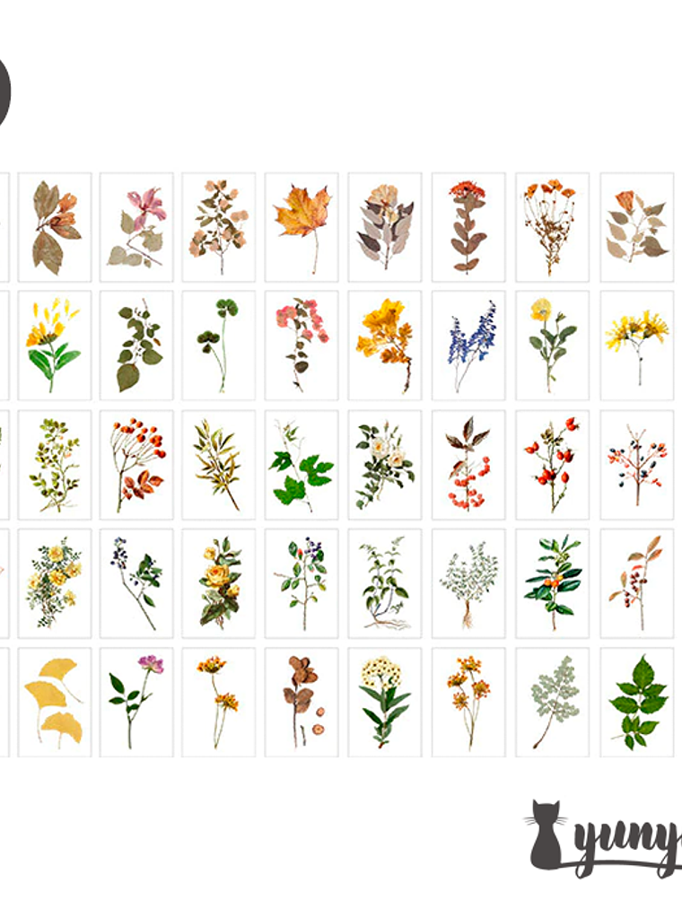 Mini Sticker Book I - 50 pzas 8