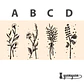 Timbre botánica I - Miniatura 4