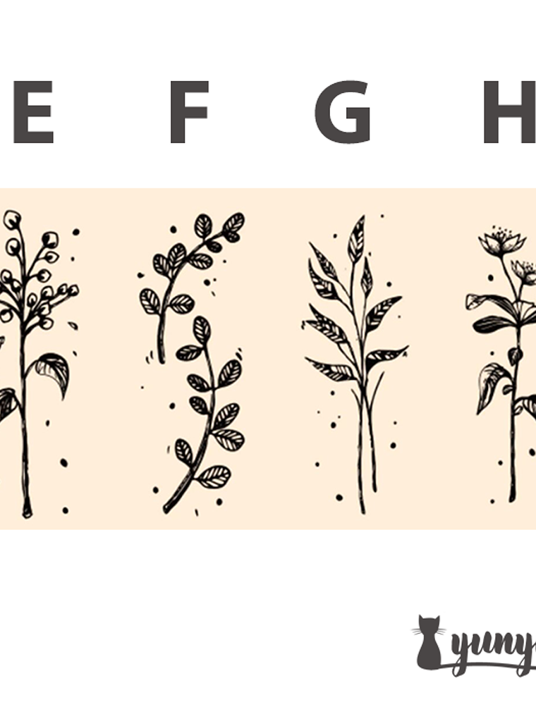 Timbre botánica I 5