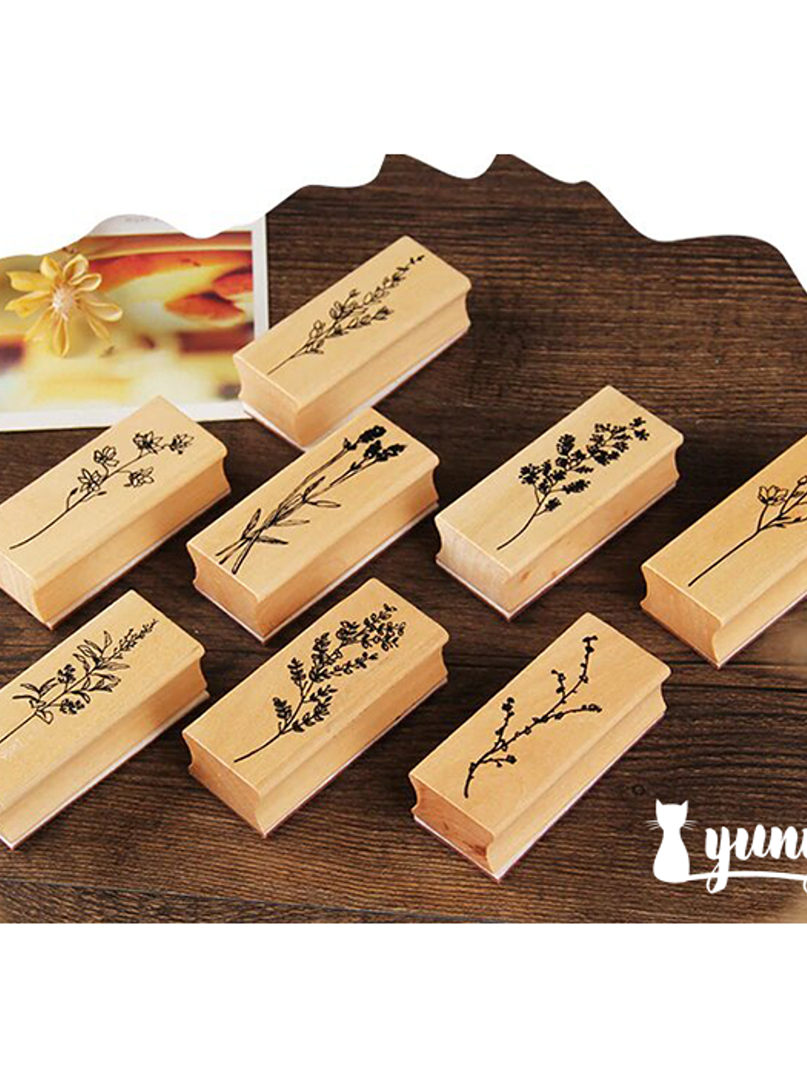 Tinbres Botánica II 1