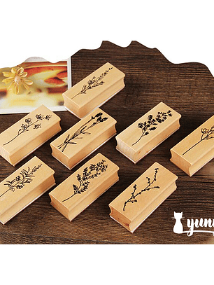 Tinbres Botánica II