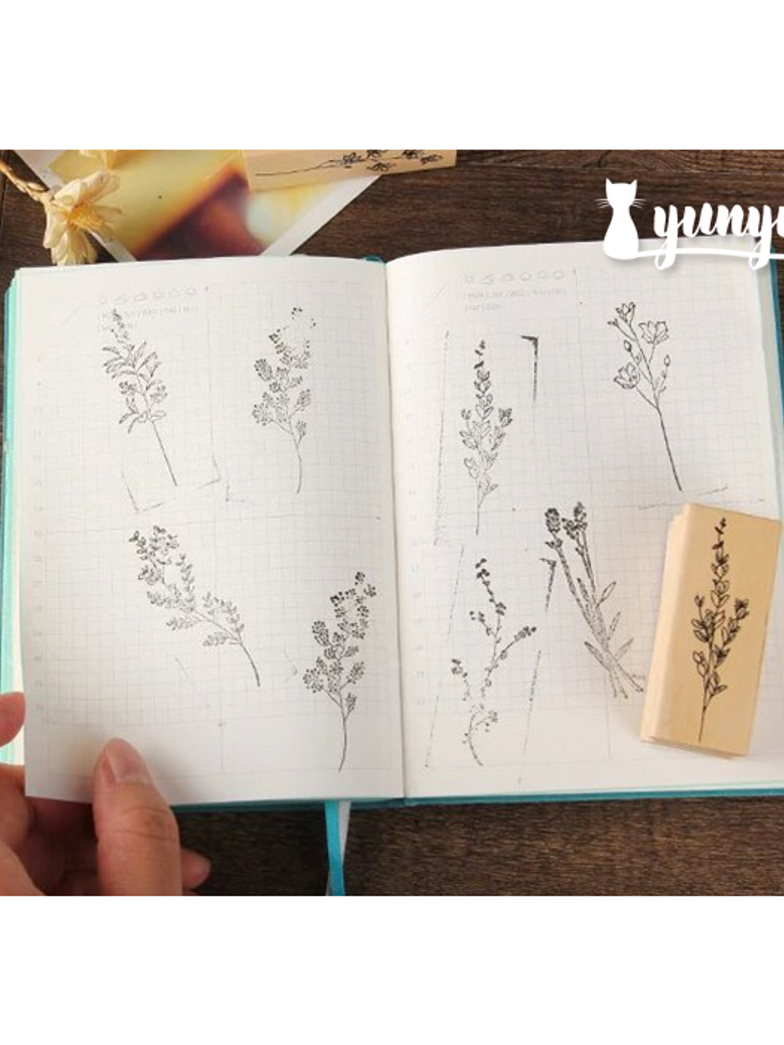 Tinbres Botánica II 2