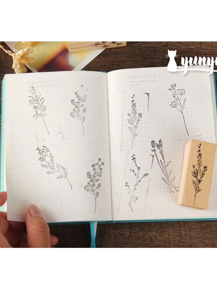 Tinbres Botánica II 2