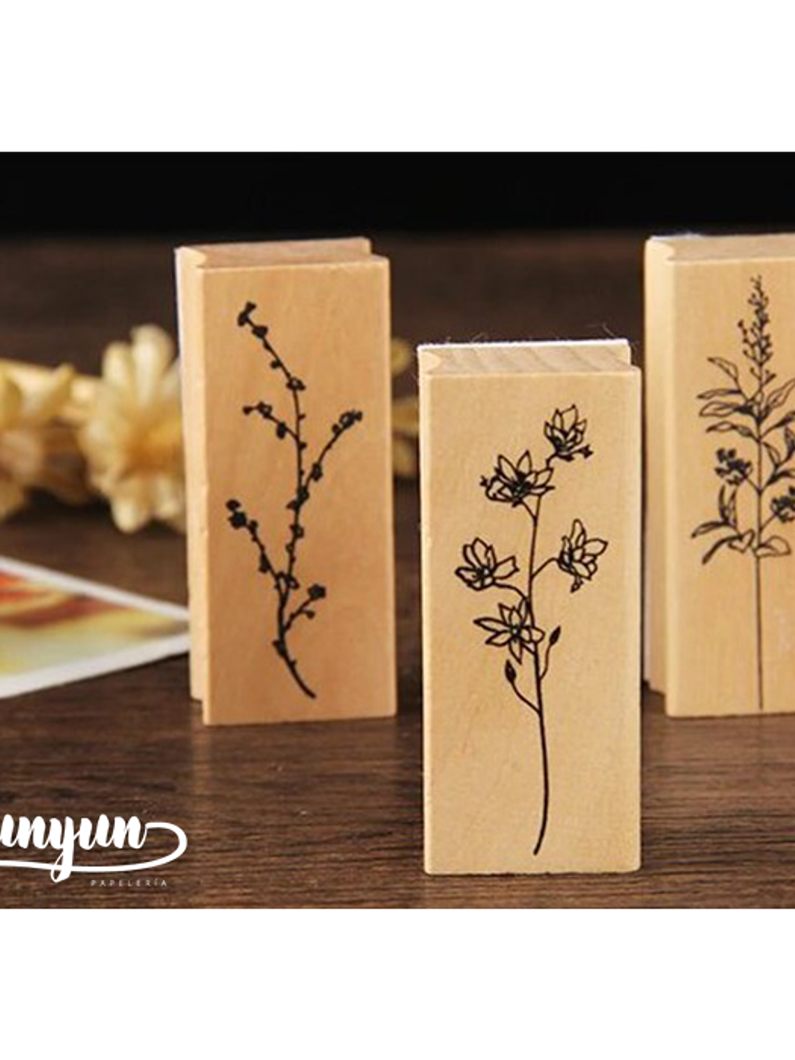 Tinbres Botánica II 4