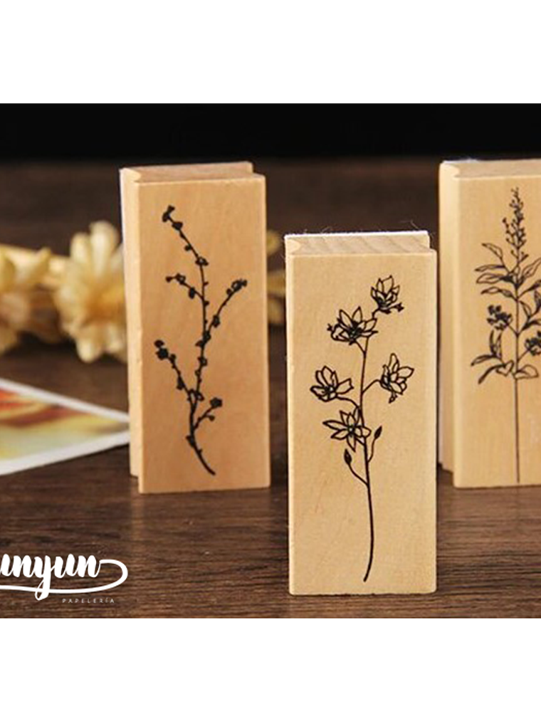 Tinbres Botánica II 4