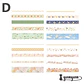 Box Oriental Foil Premium - 20 pzas - Miniatura 10