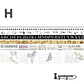 Pack Washi Tapes - 7 Cintas - Miniatura 14