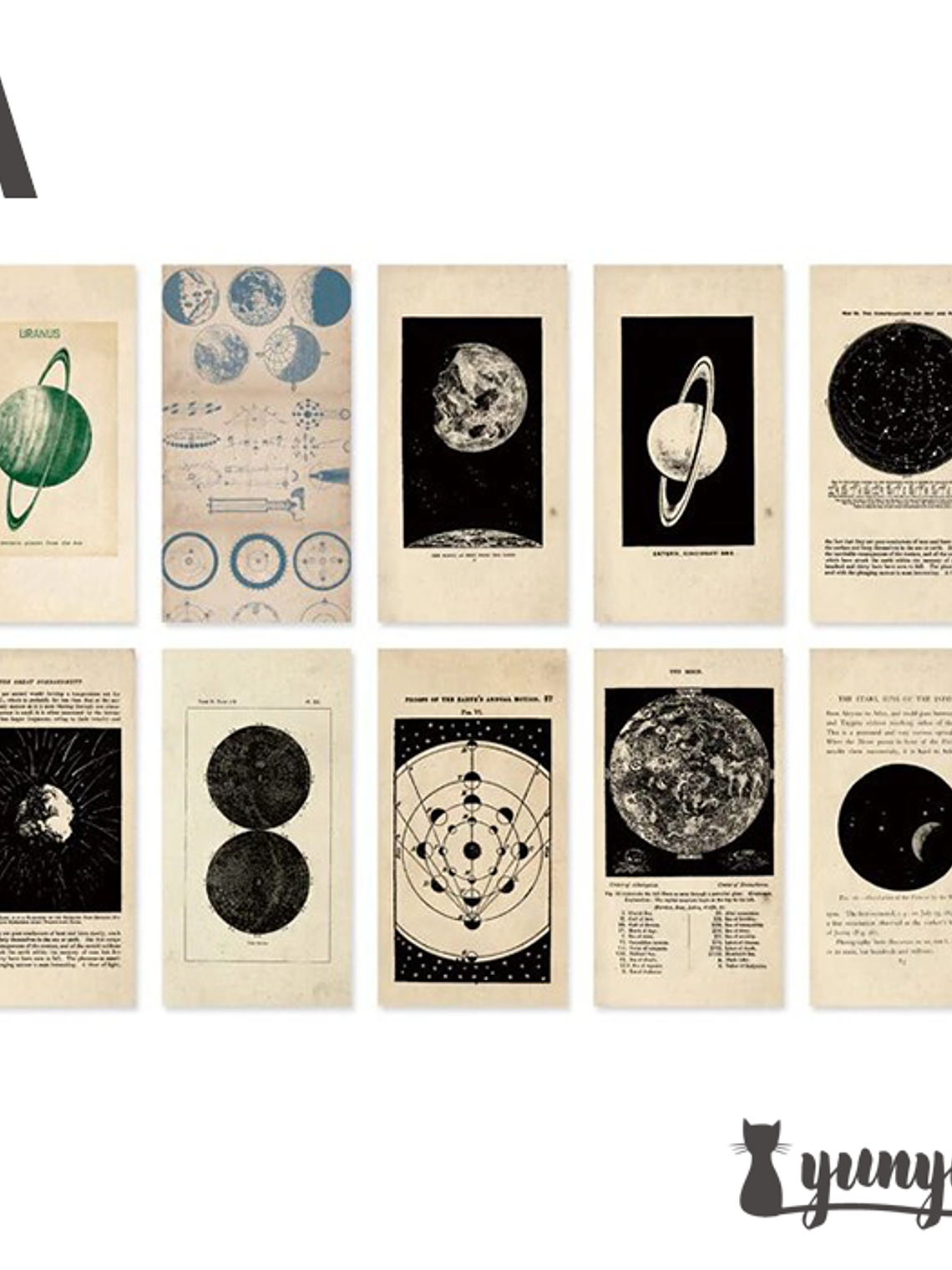 Antique Bookstore - 60 pzas 8