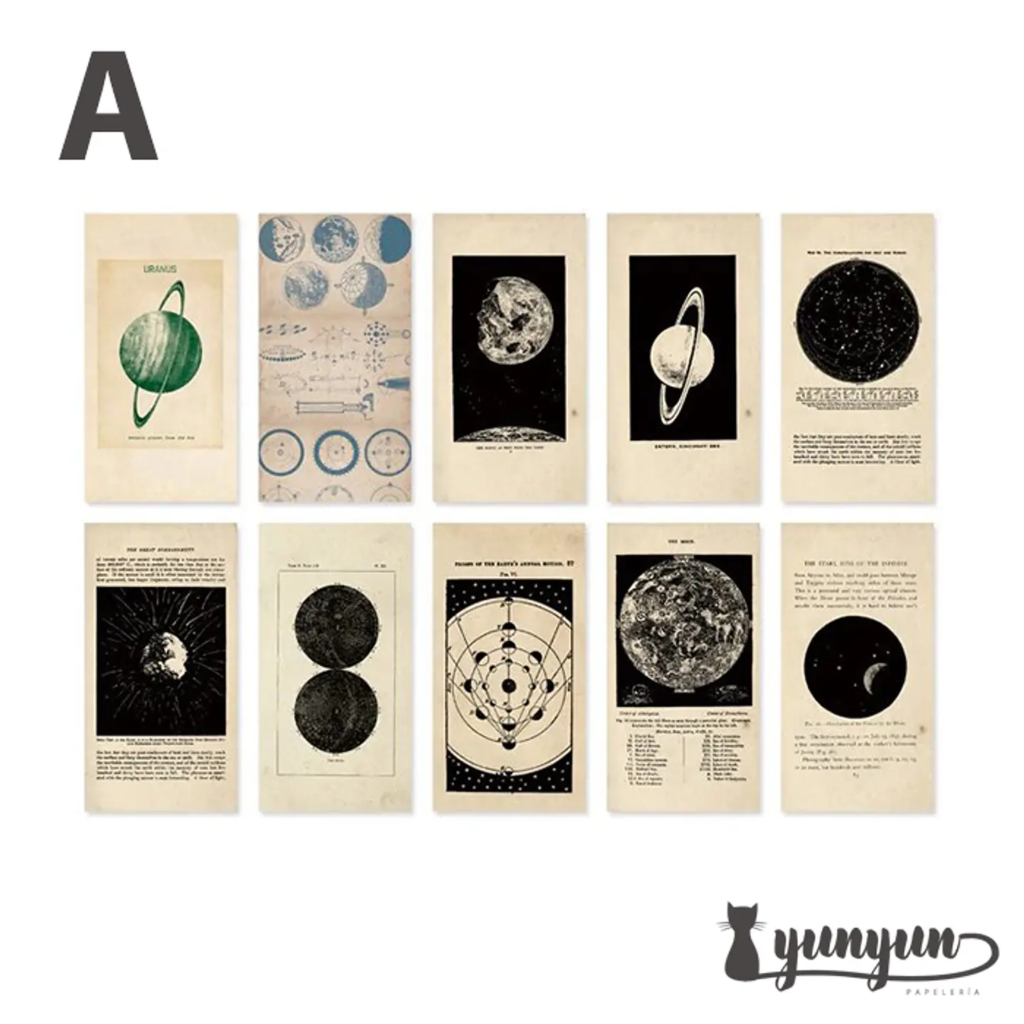 Antique Bookstore - 60 pzas 8