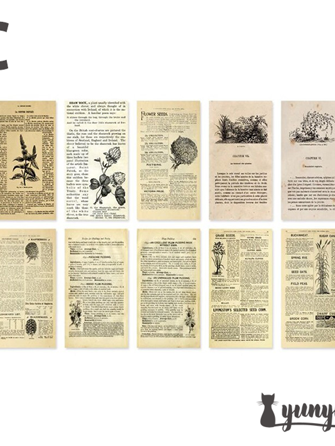 Antique Bookstore - 60 pzas 10