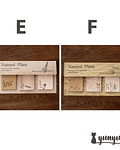 Block de Notas Natural Plant - 60 pzas