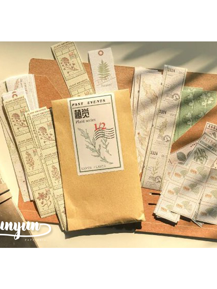 Tickets de Viaje - 50 pzas 1