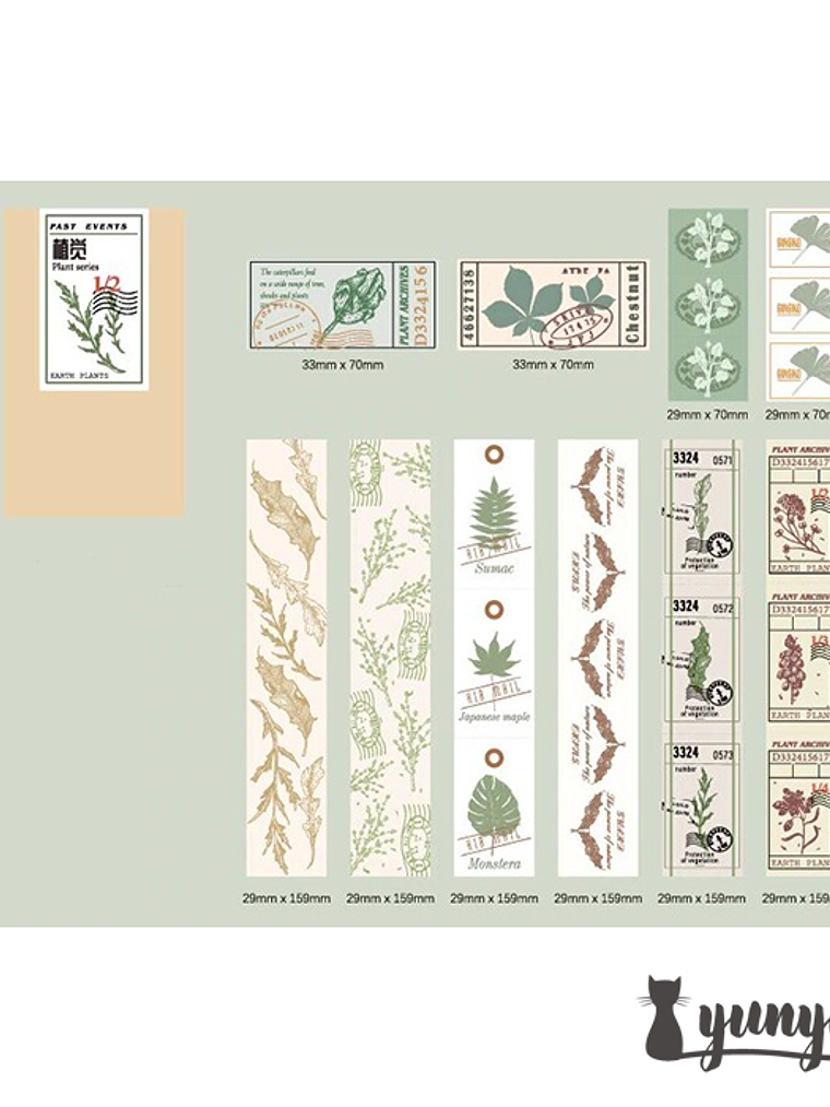 Tickets de Viaje - 50 pzas 11