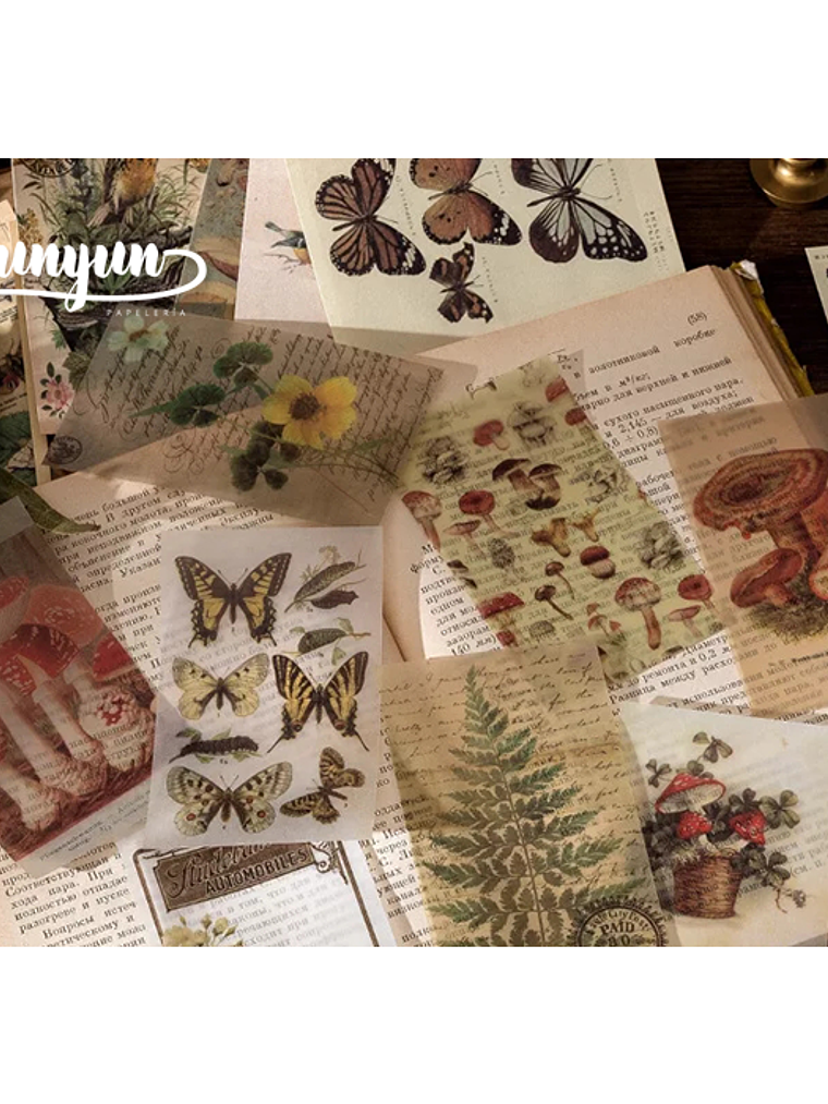 Retro Box - 60 pzas 2