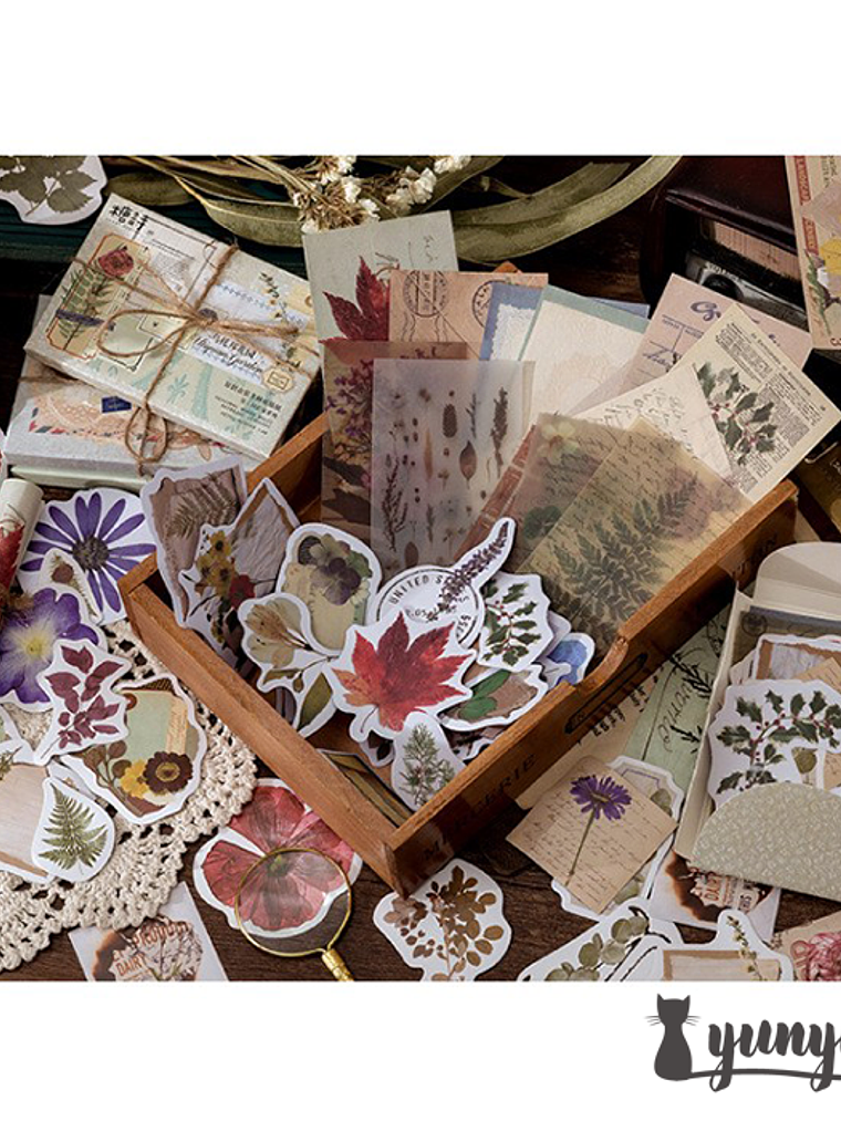 Retro Box - 60 pzas 13