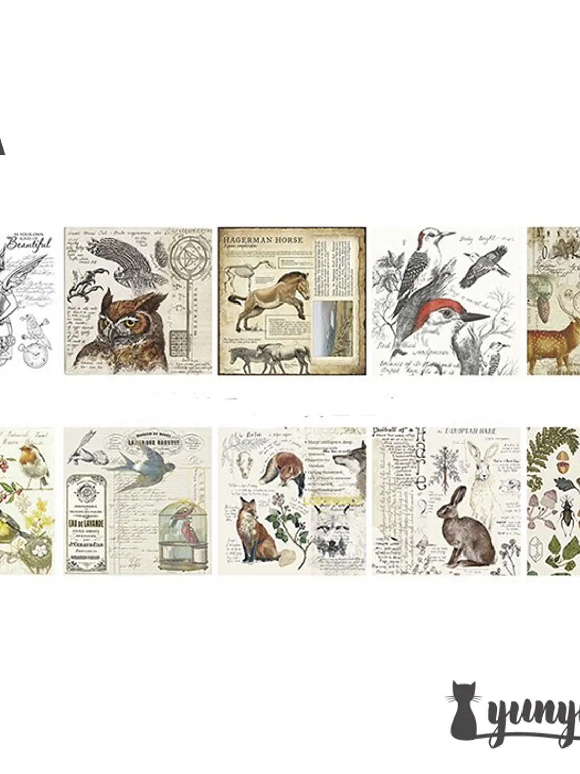 Set Papeles & Adhesivos Foil - 15 pzas 5