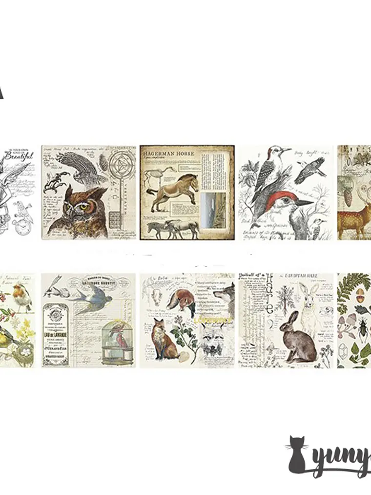 Set Papeles & Adhesivos Foil - 15 pzas 5