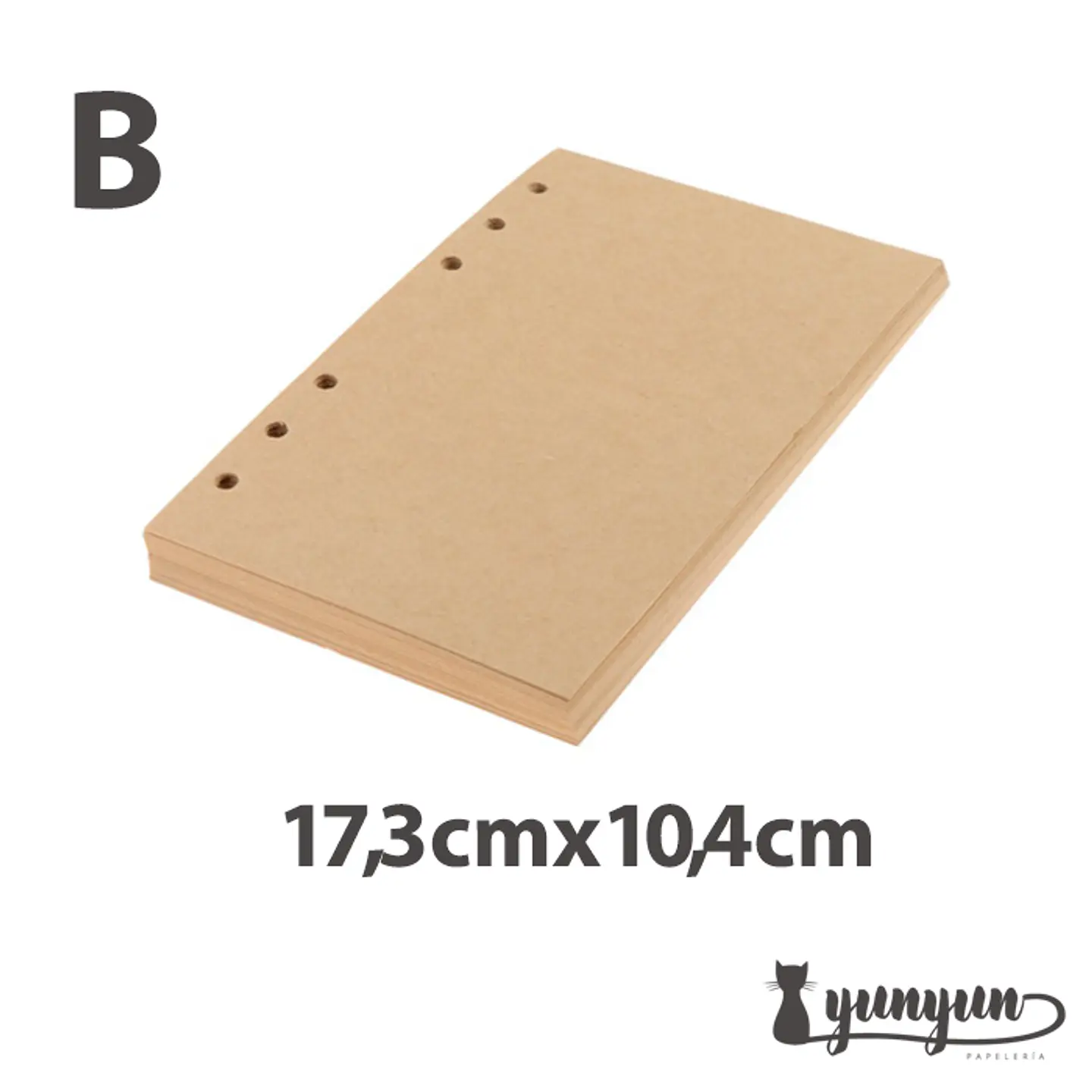 Respuesto Cuaderno Binder - Hojas Craft 4