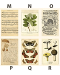 Postales Botánicas II