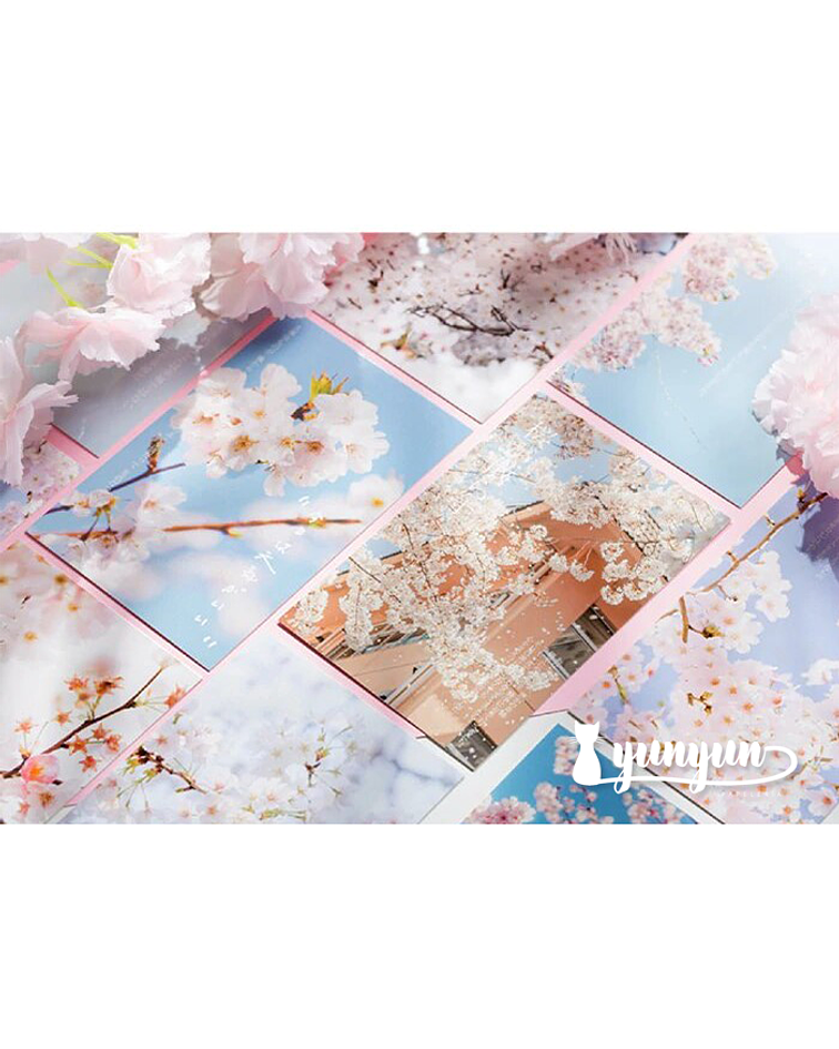 Postales Sakura I