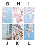 Postales Sakura I