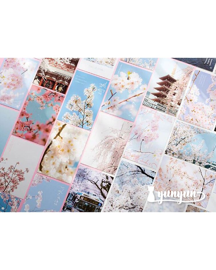 Postales Sakura II