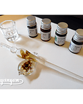 Kit Glass Dip Pen - 4 Tintas