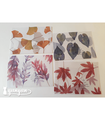 Set Sobres Otoño - Papel Vegetal